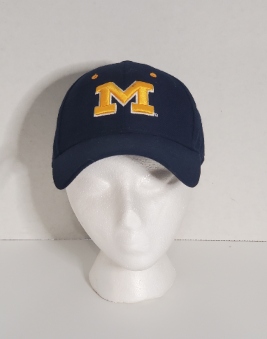 Michigan State University Hat